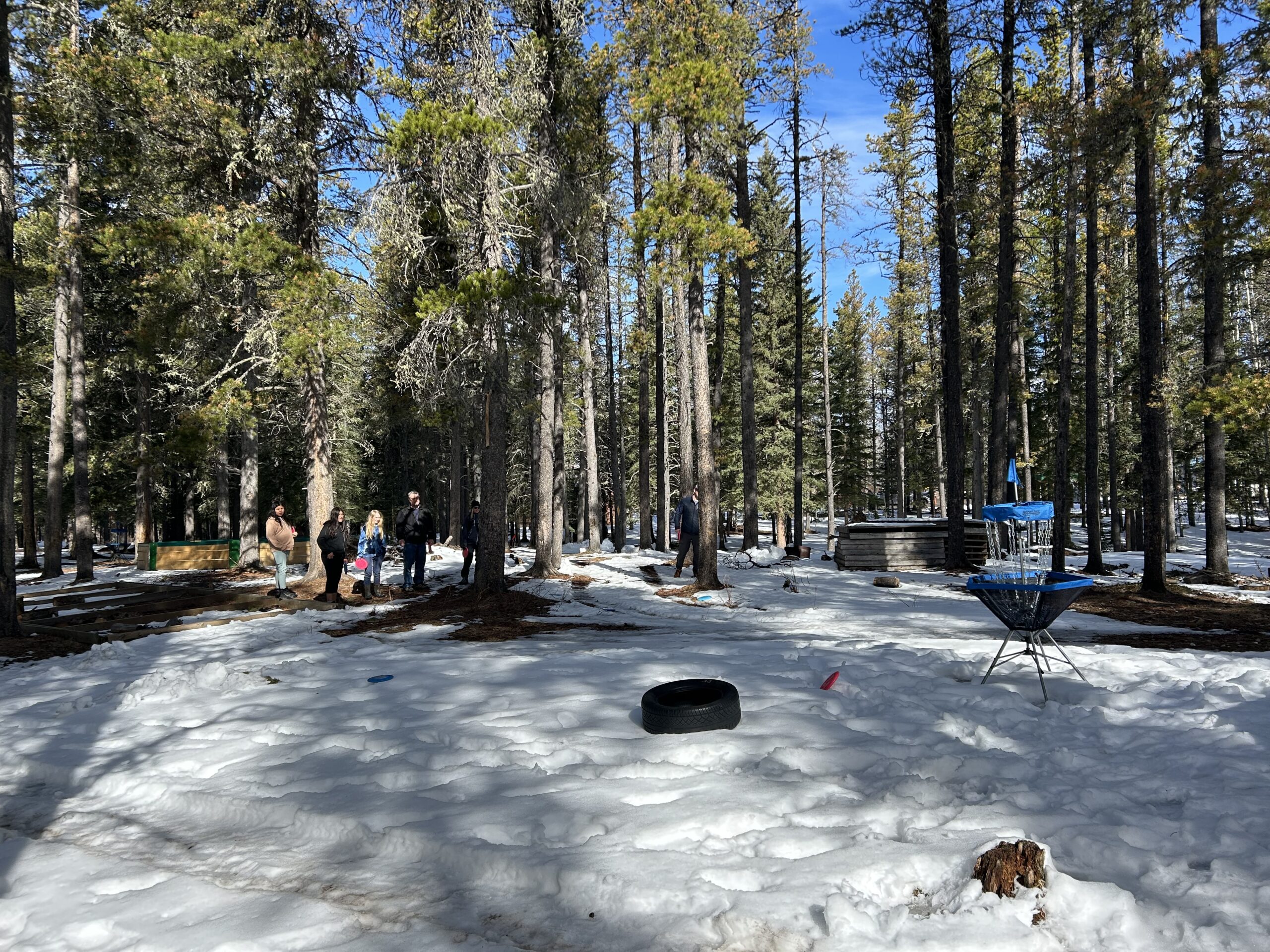 Disc_Golf_2